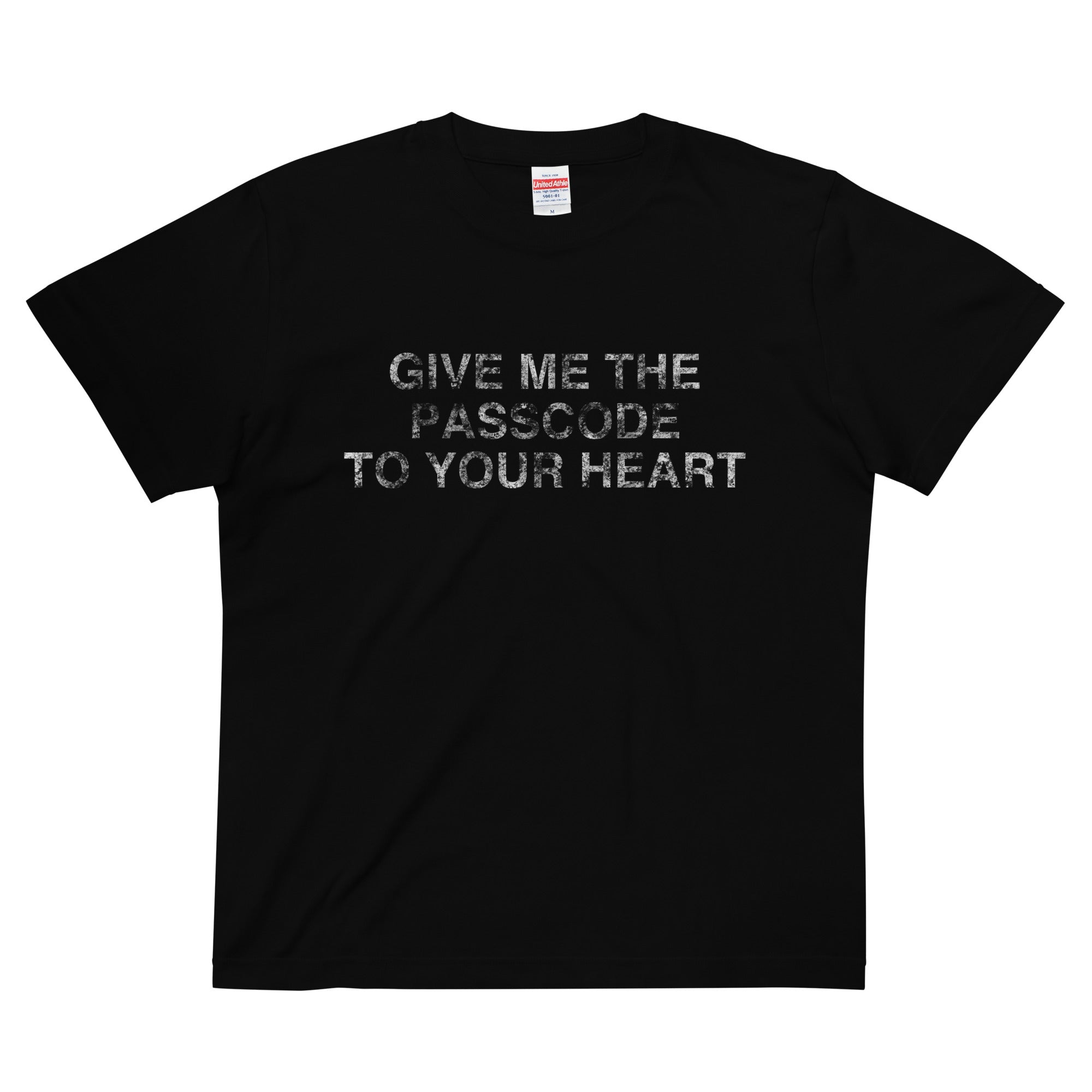 PASSCODE Tee – My little brothers