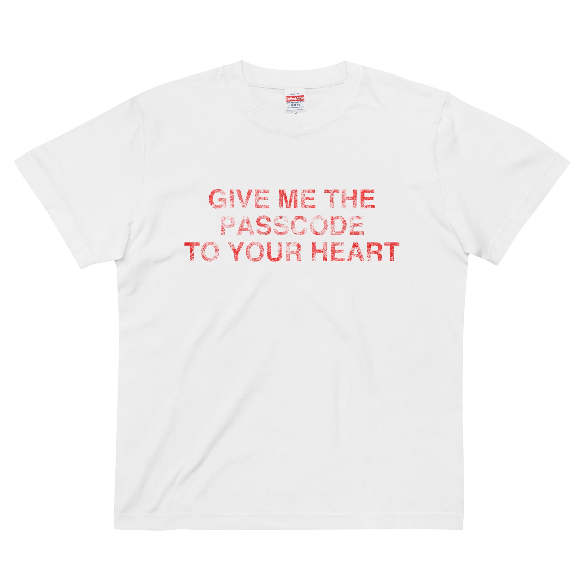 PASSCODE Tee – My little brothers