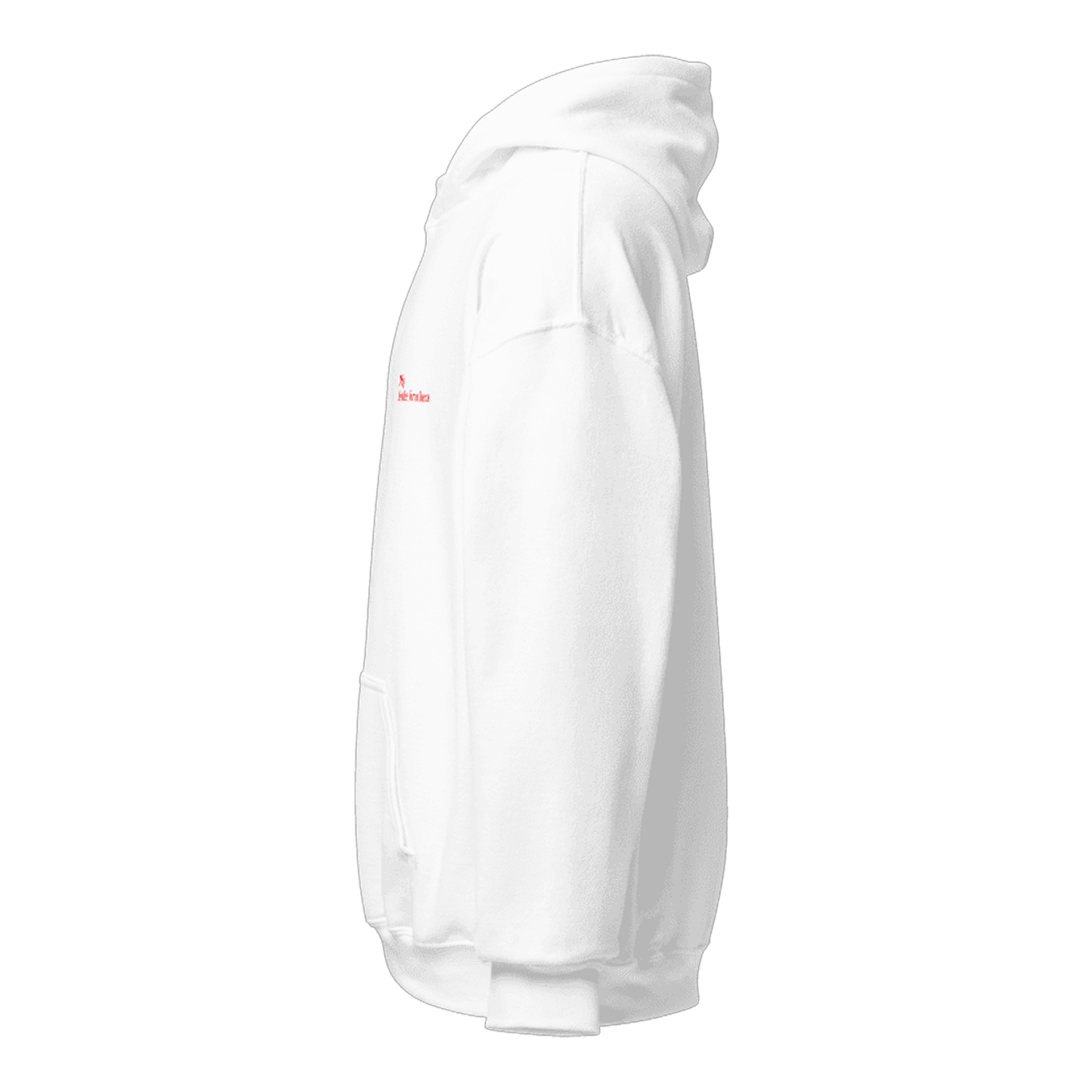 Double Logo Hoodie TYPE2