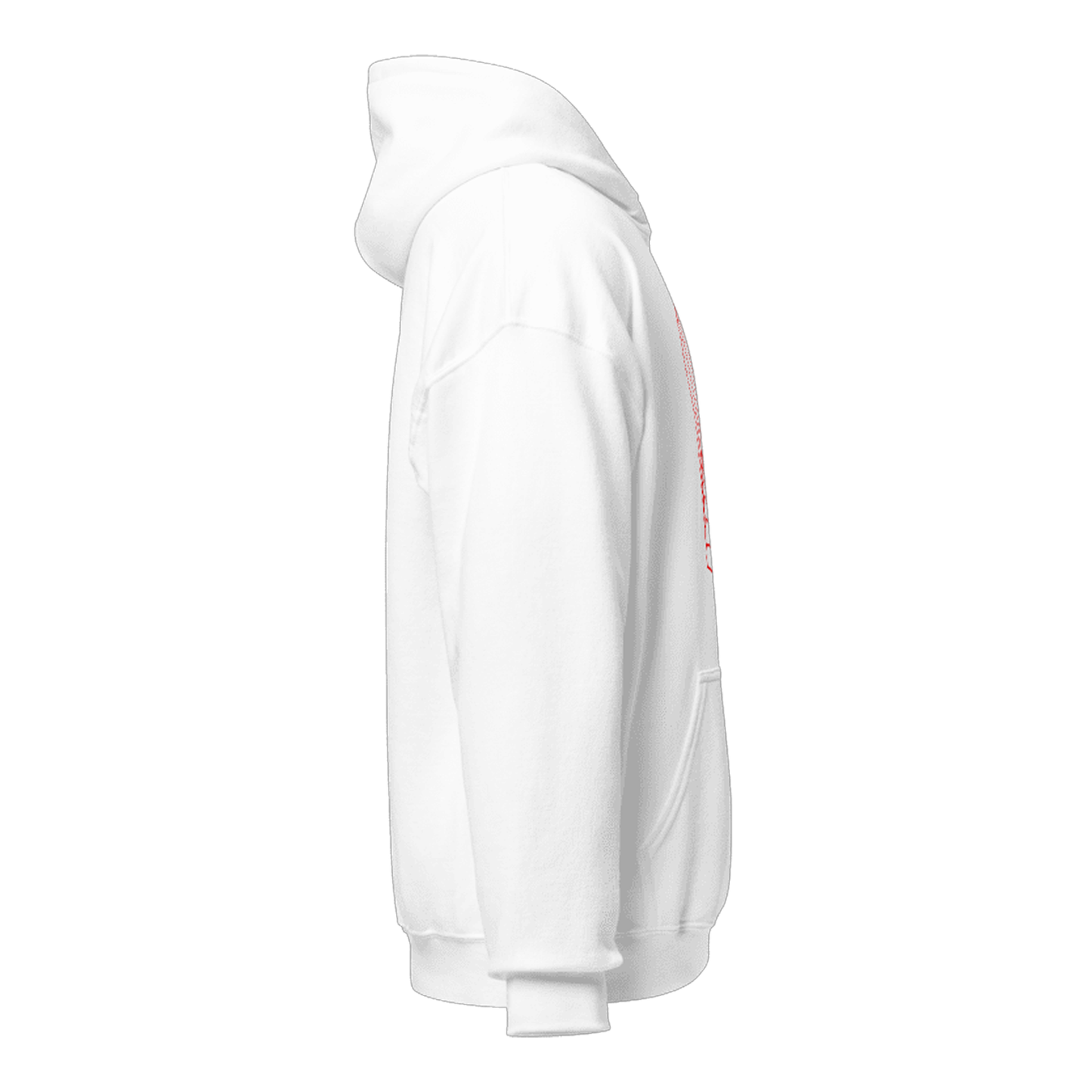 Helix Box Hoodie TYPE2
